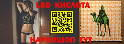 ГАЛЛЮЦИНОГЕННЫЕ ГРИБЫ Новозыбков