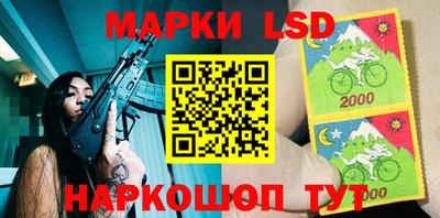 ГАЛЛЮЦИНОГЕННЫЕ ГРИБЫ Новозыбков