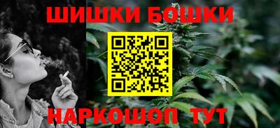 дмт Новокубанск