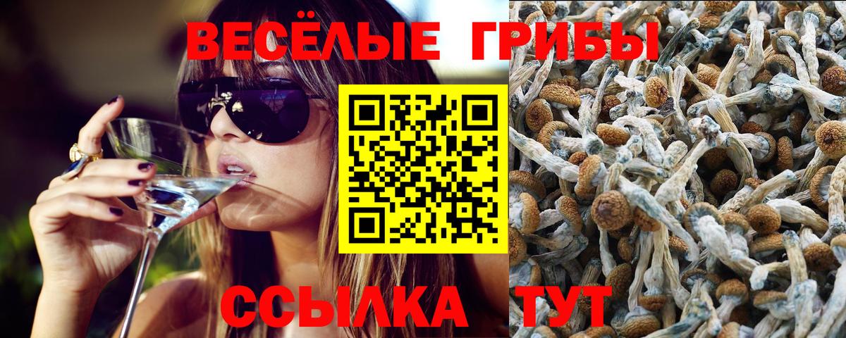 Псилоцибиновые грибы мицелий Топки