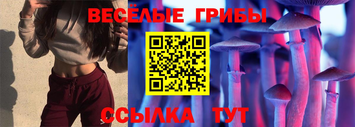 Псилоцибиновые грибы мухоморы  Галлюциногенные грибы GOLDEN TEACHER  Топки  Вход с VPN 